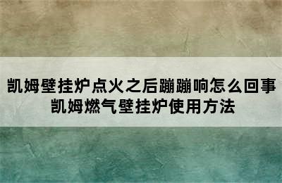 凯姆壁挂炉点火之后蹦蹦响怎么回事 凯姆燃气壁挂炉使用方法